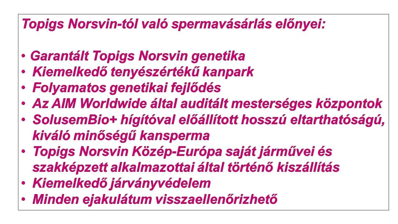 A Topigs Norsvin Közép-Európától való spermavásárlás előnyei